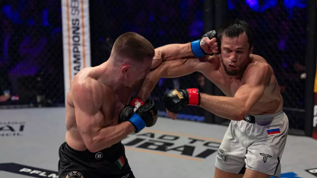 Top Fights of January 2025: MMA Action Recap