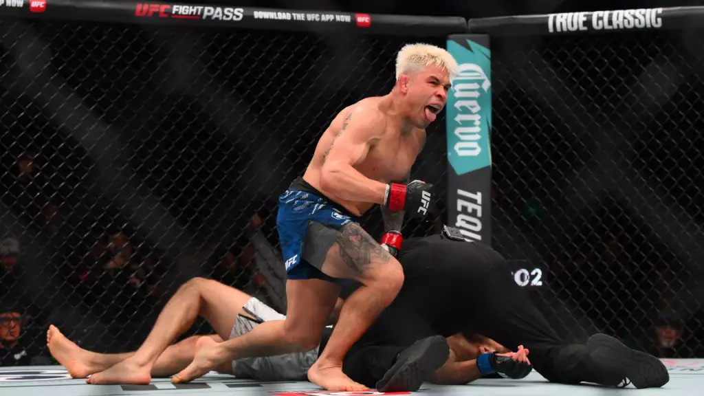 The Most Stunning MMA Knockouts of February 2025: A Month in Review