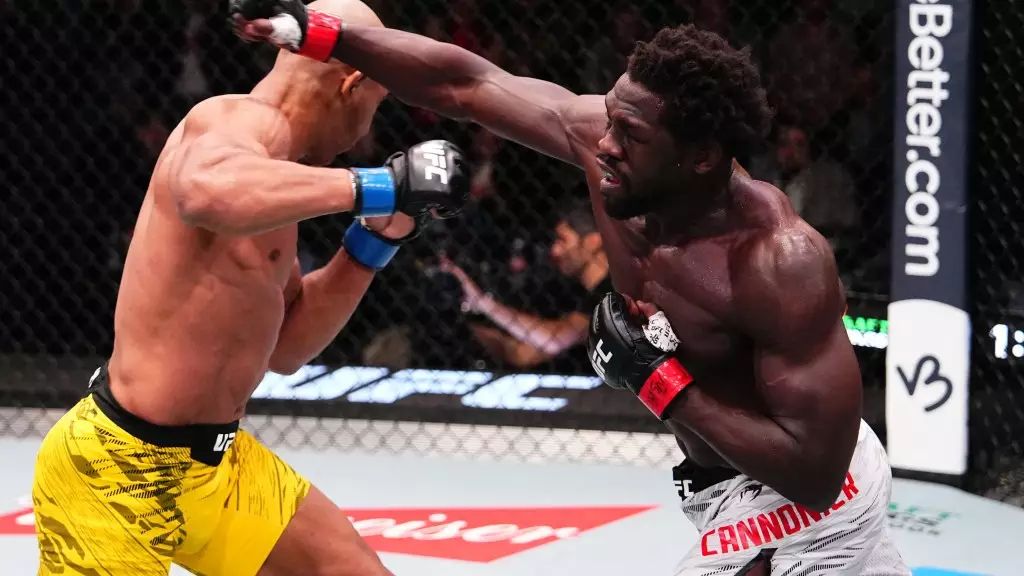 February 2025 MMA Highlights: Unforgettable Fights That Shook the Octagon